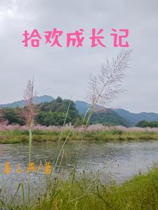 拾欢娱乐环境如何